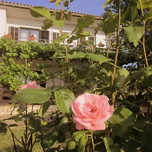 Apartman Iva, Rovinjsko Selo